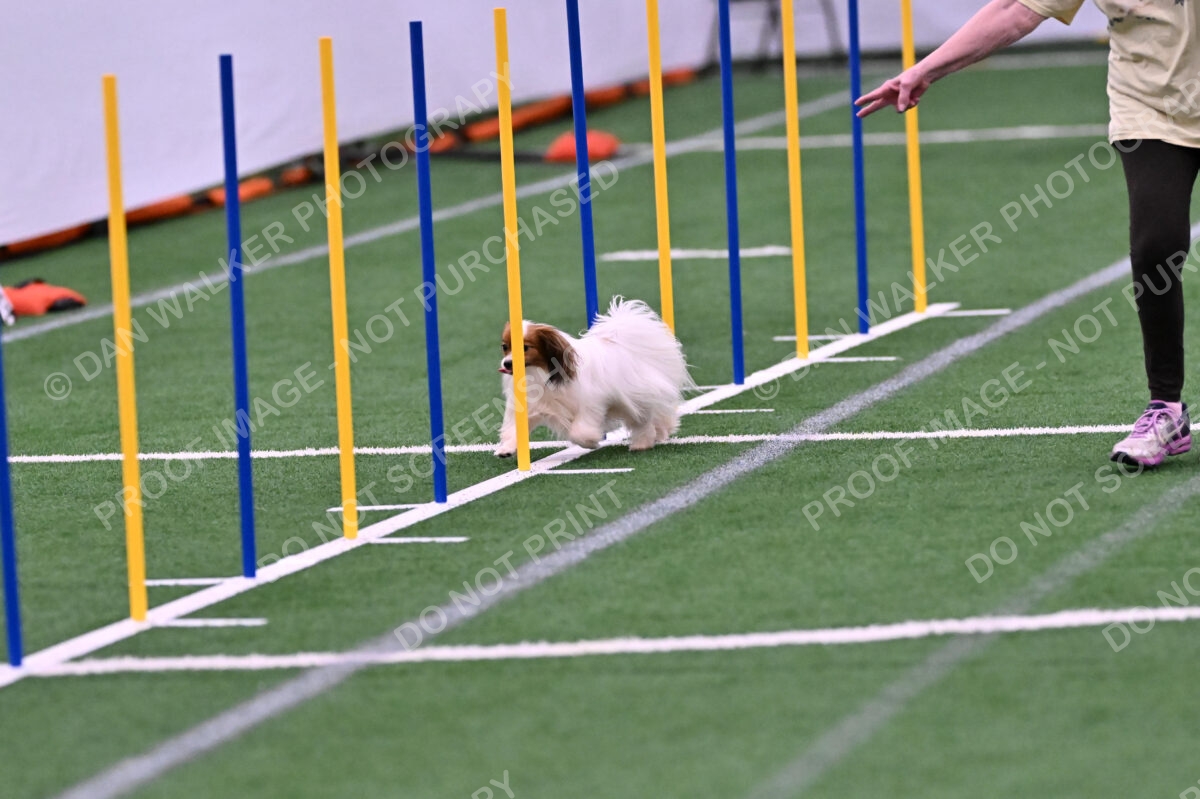 Prize-Sharon-Rooks-06477