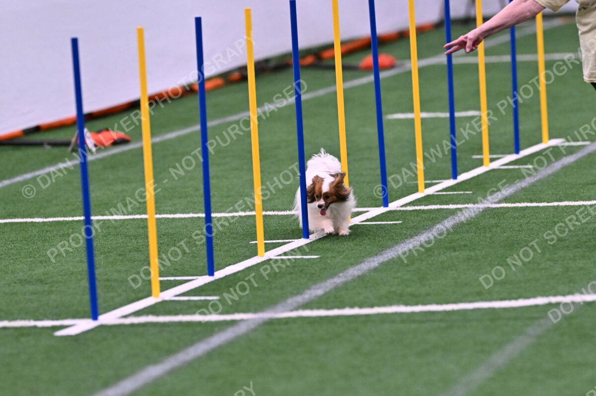 Prize-Sharon-Rooks-06479