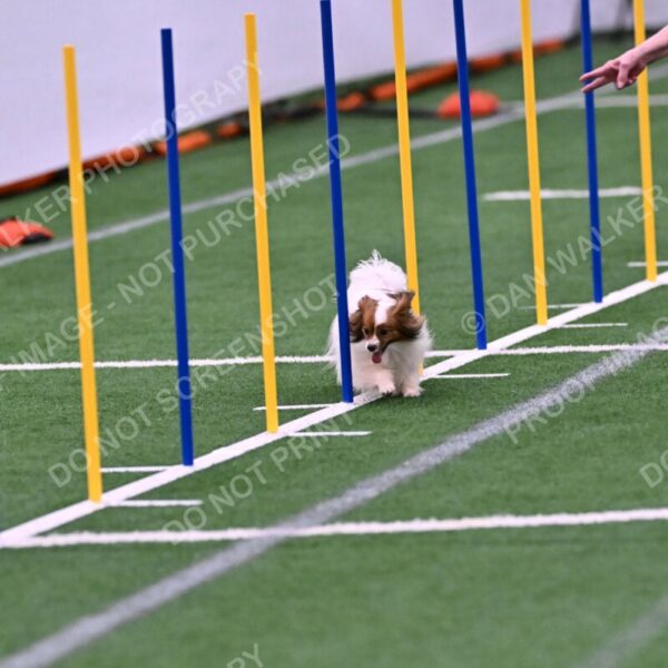 Prize-Sharon-Rooks-06479