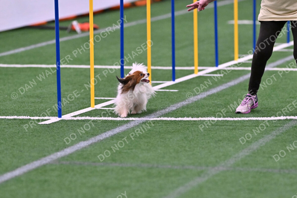 Prize-Sharon-Rooks-06496