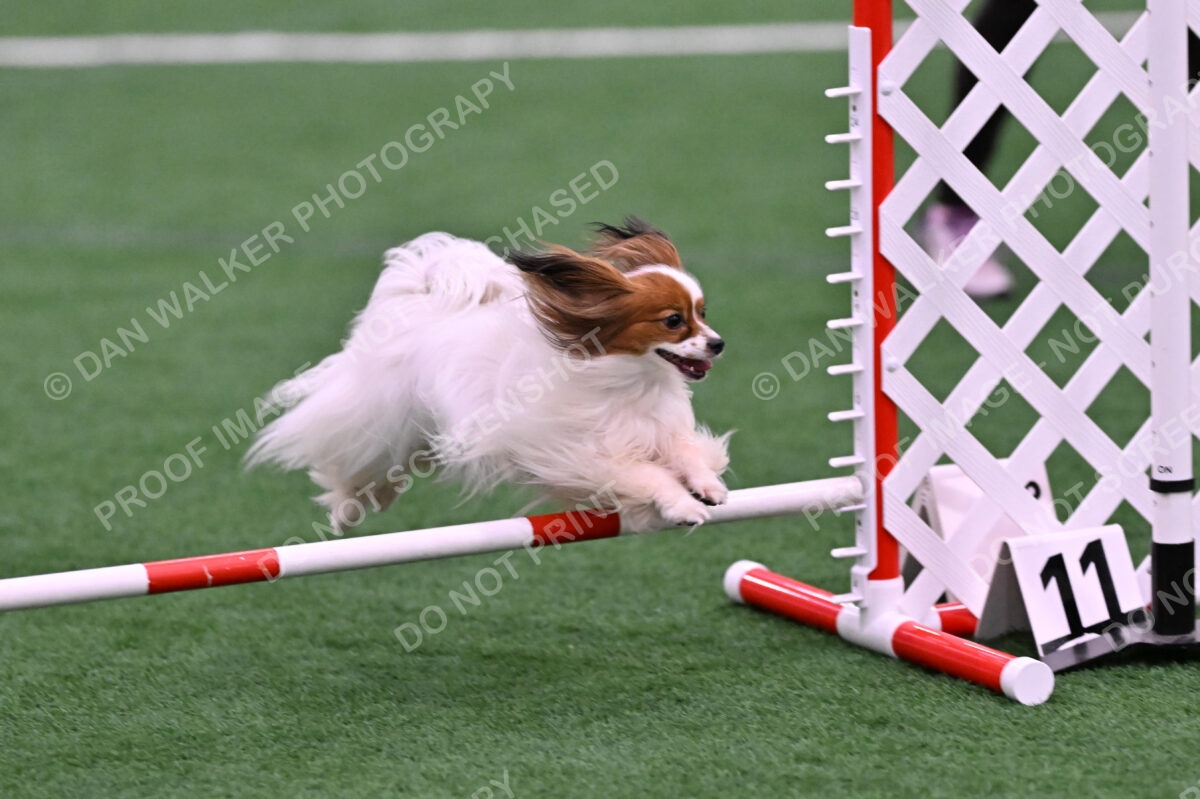 Prize-Sharon-Rooks-06505