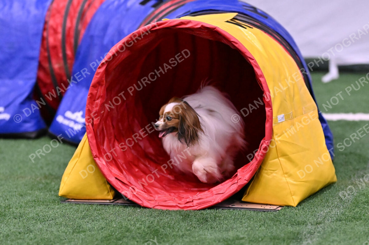 Prize-Sharon-Rooks-06509