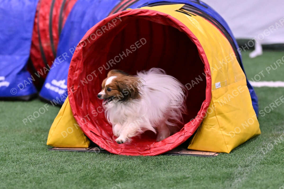 Prize-Sharon-Rooks-06510