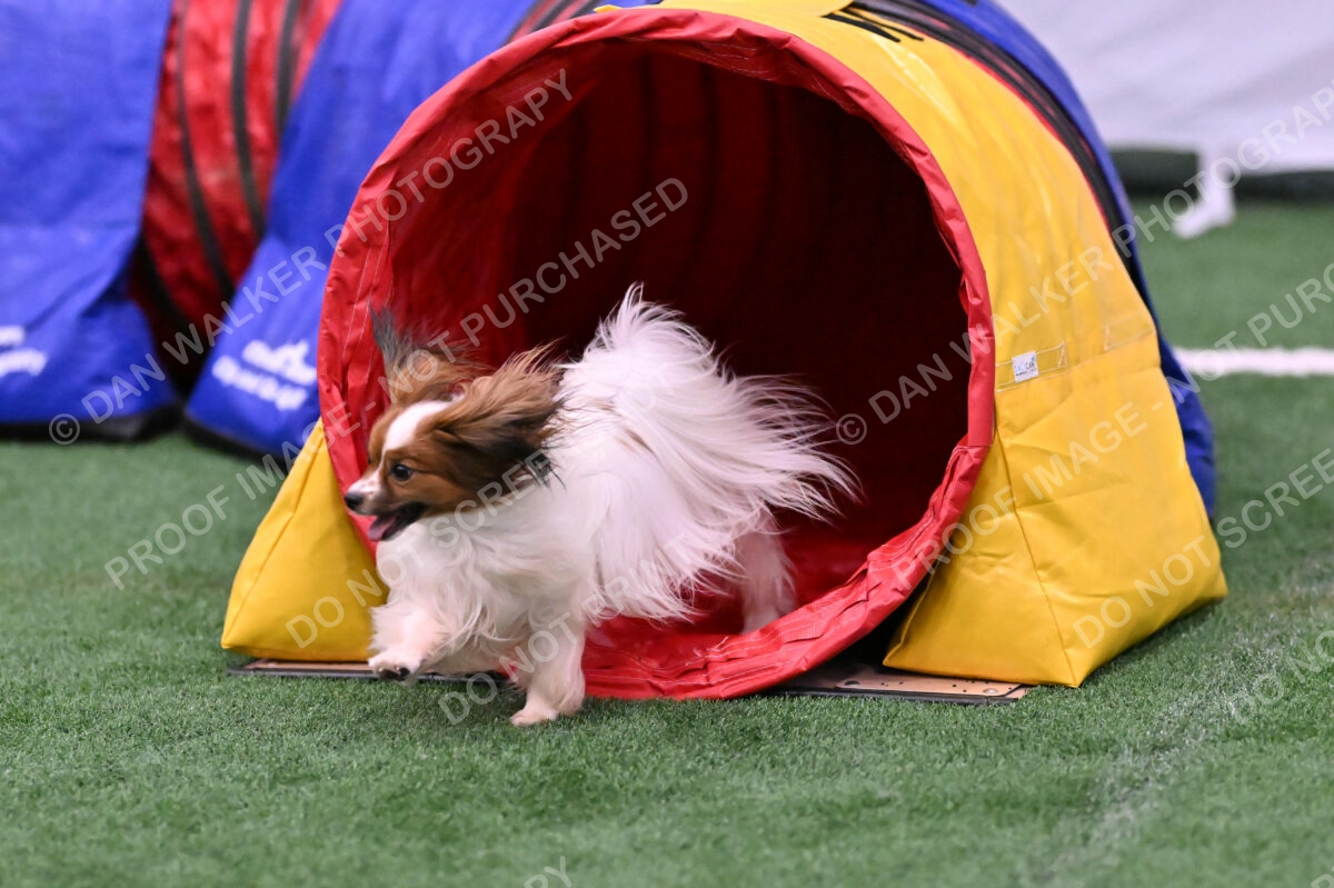 Prize-Sharon-Rooks-06511