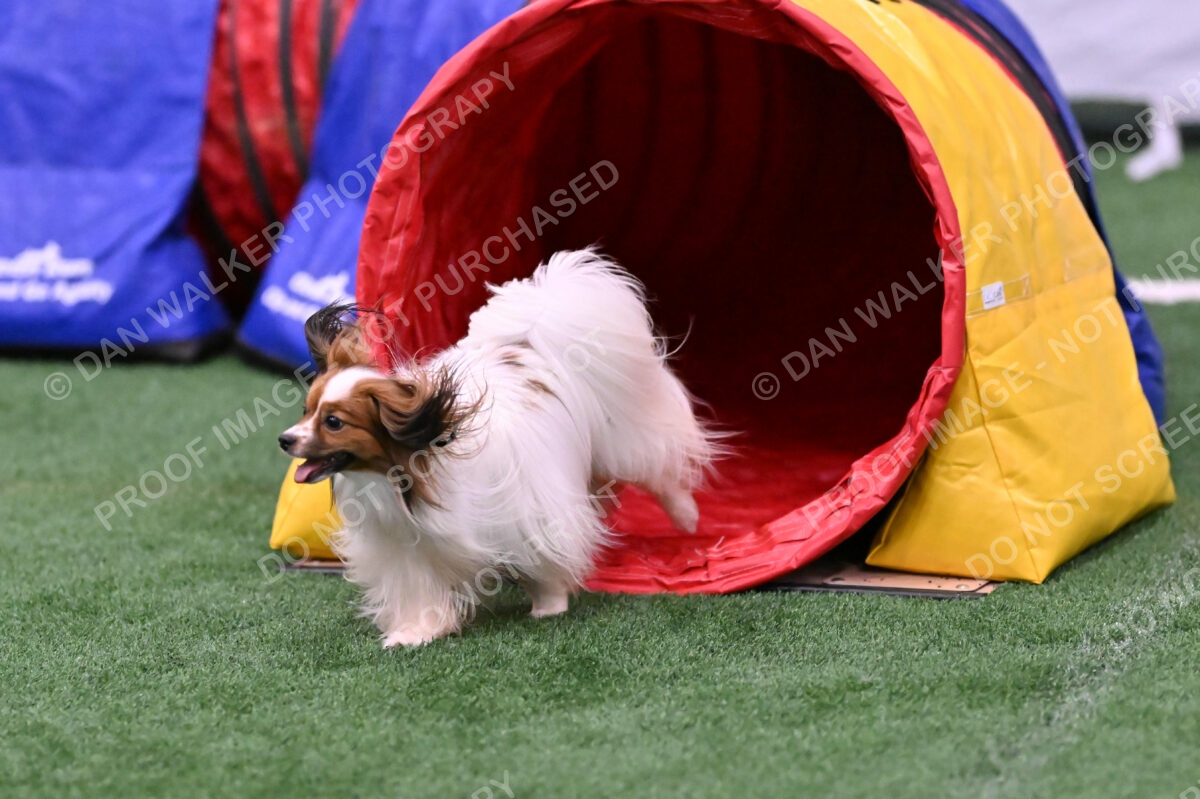 Prize-Sharon-Rooks-06512