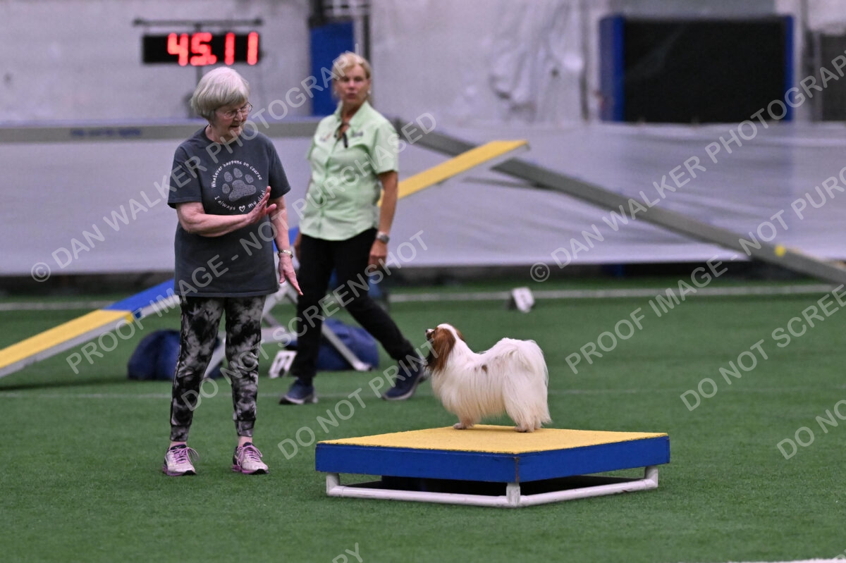 Prize-Sharon-Rooks-06514