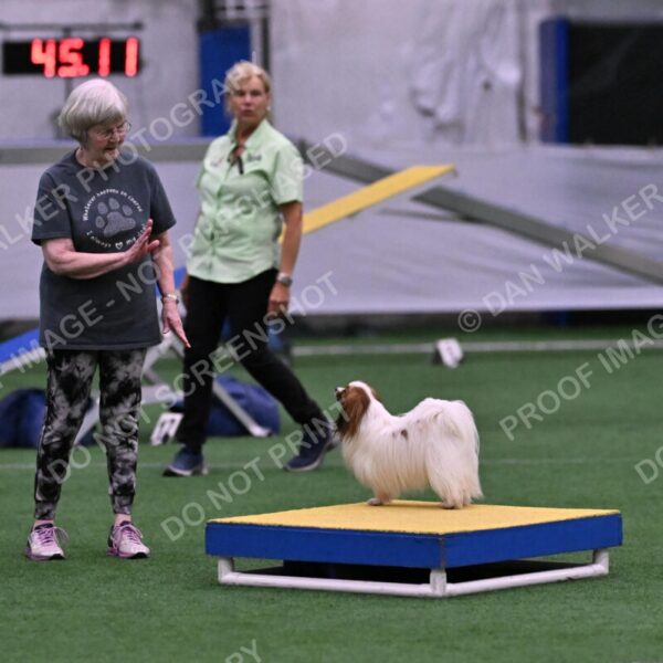 Prize-Sharon-Rooks-06514