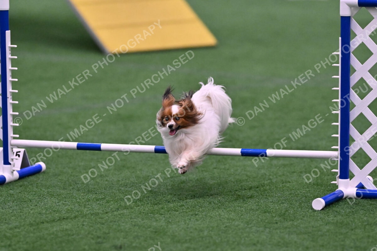 Prize-Sharon-Rooks-06517