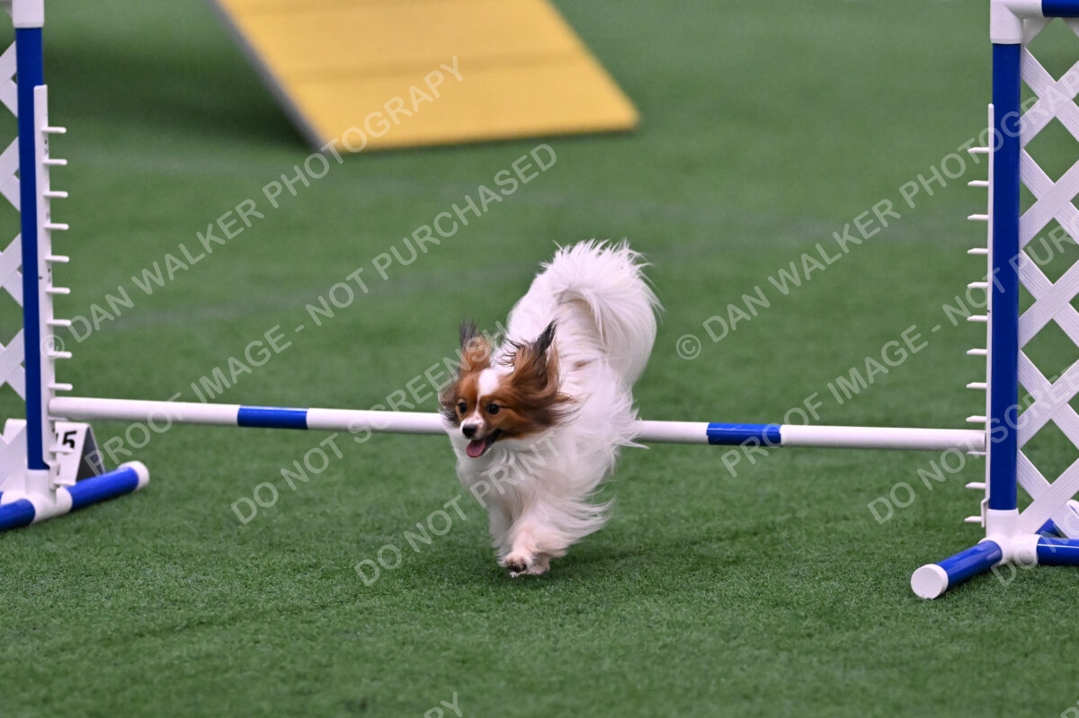 Prize-Sharon-Rooks-06518