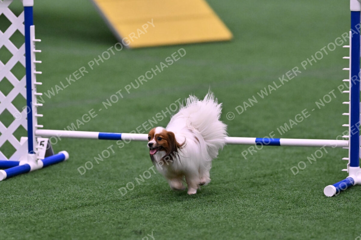 Prize-Sharon-Rooks-06519