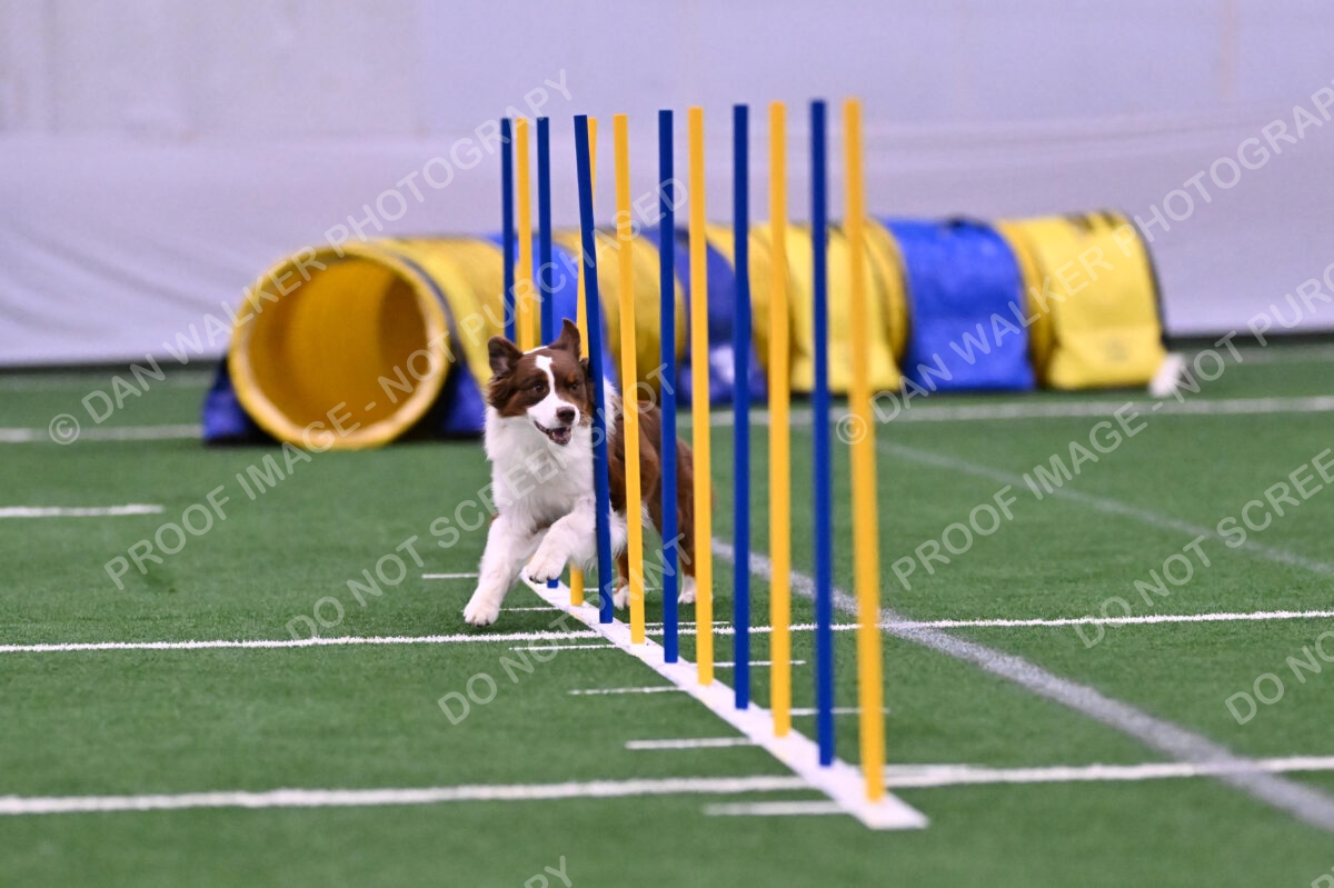 Reece-Kelly-Warner-04515