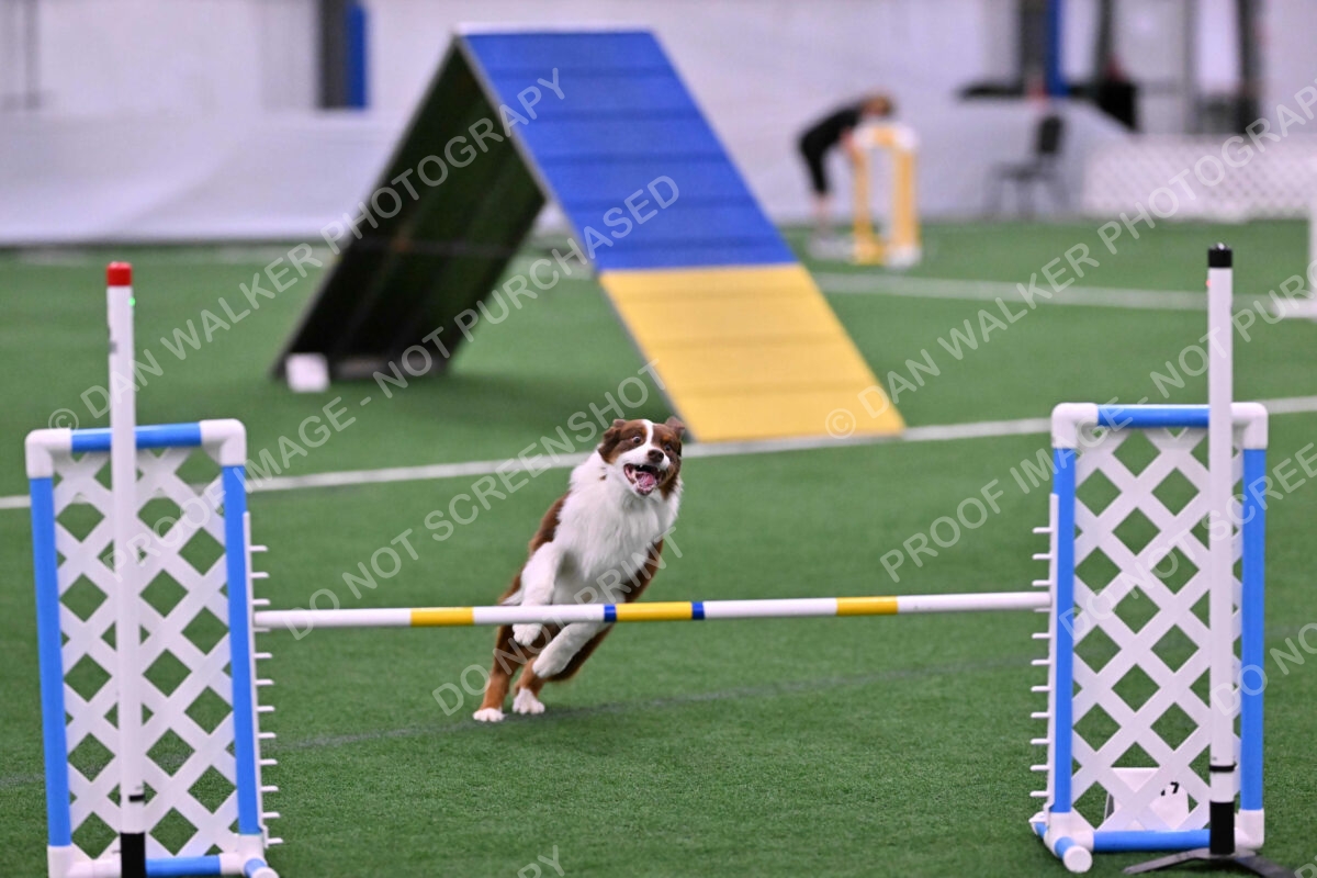 Reece-Kelly-Warner-04543