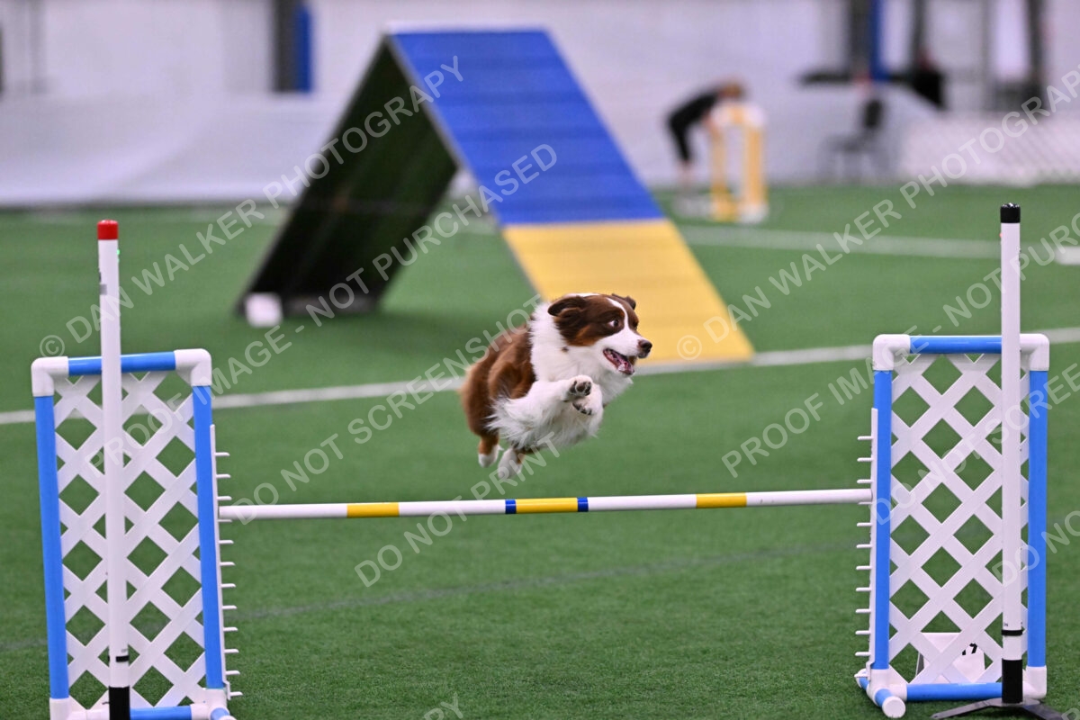 Reece-Kelly-Warner-04546