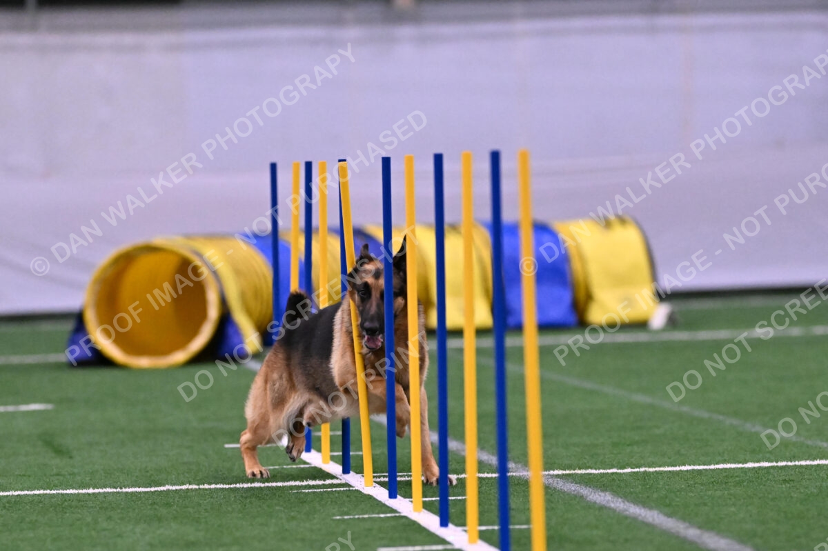 Reece-Kelly-Warner-04563