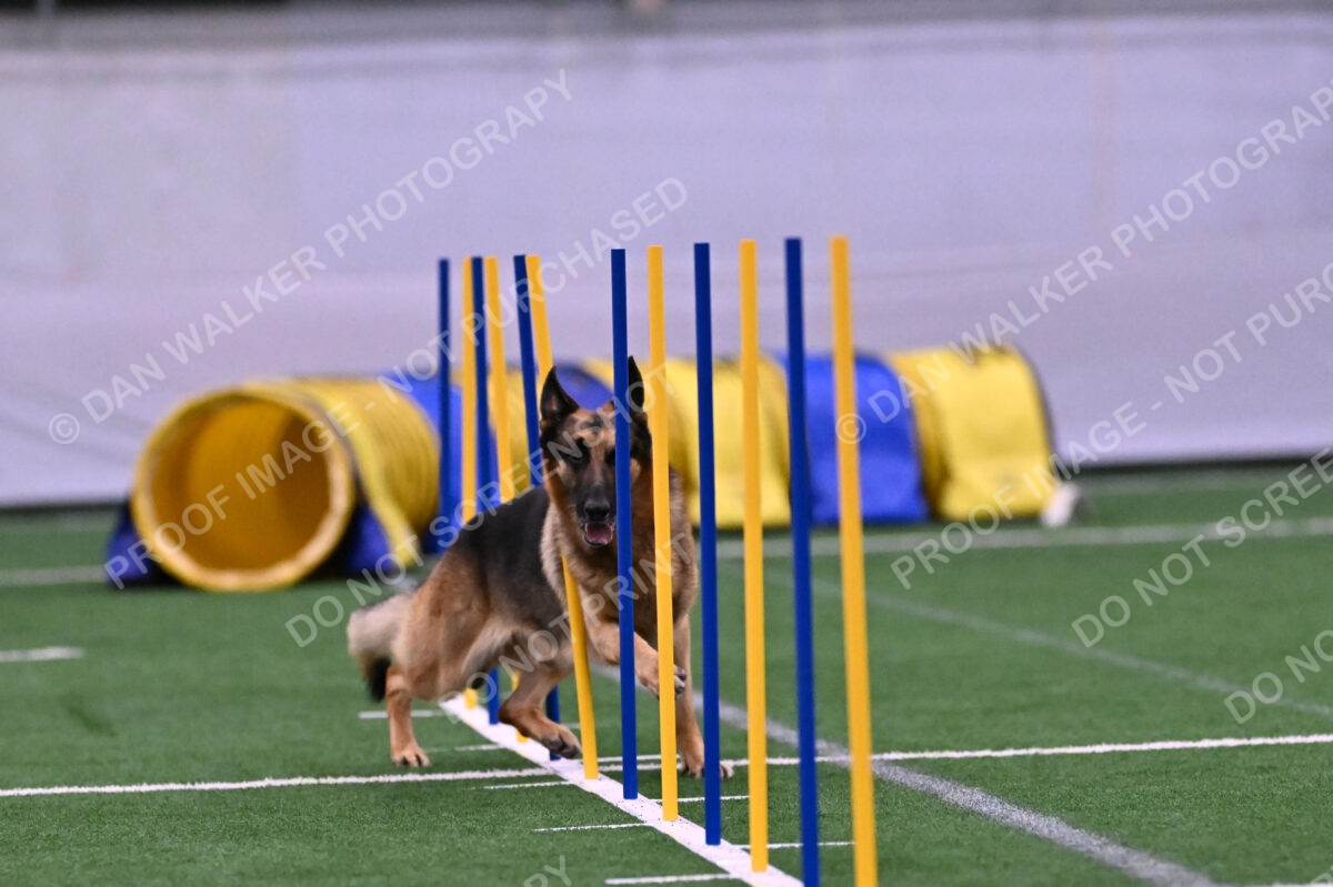 Reece-Kelly-Warner-04564