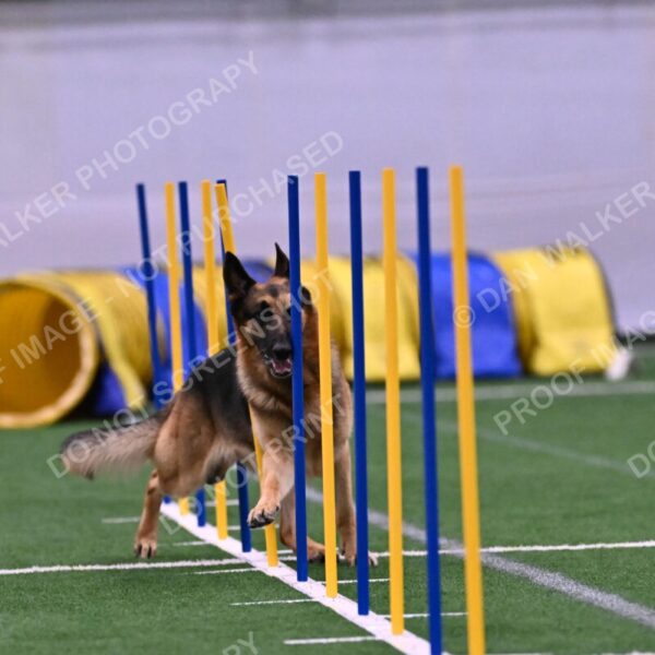 Reece-Kelly-Warner-04565