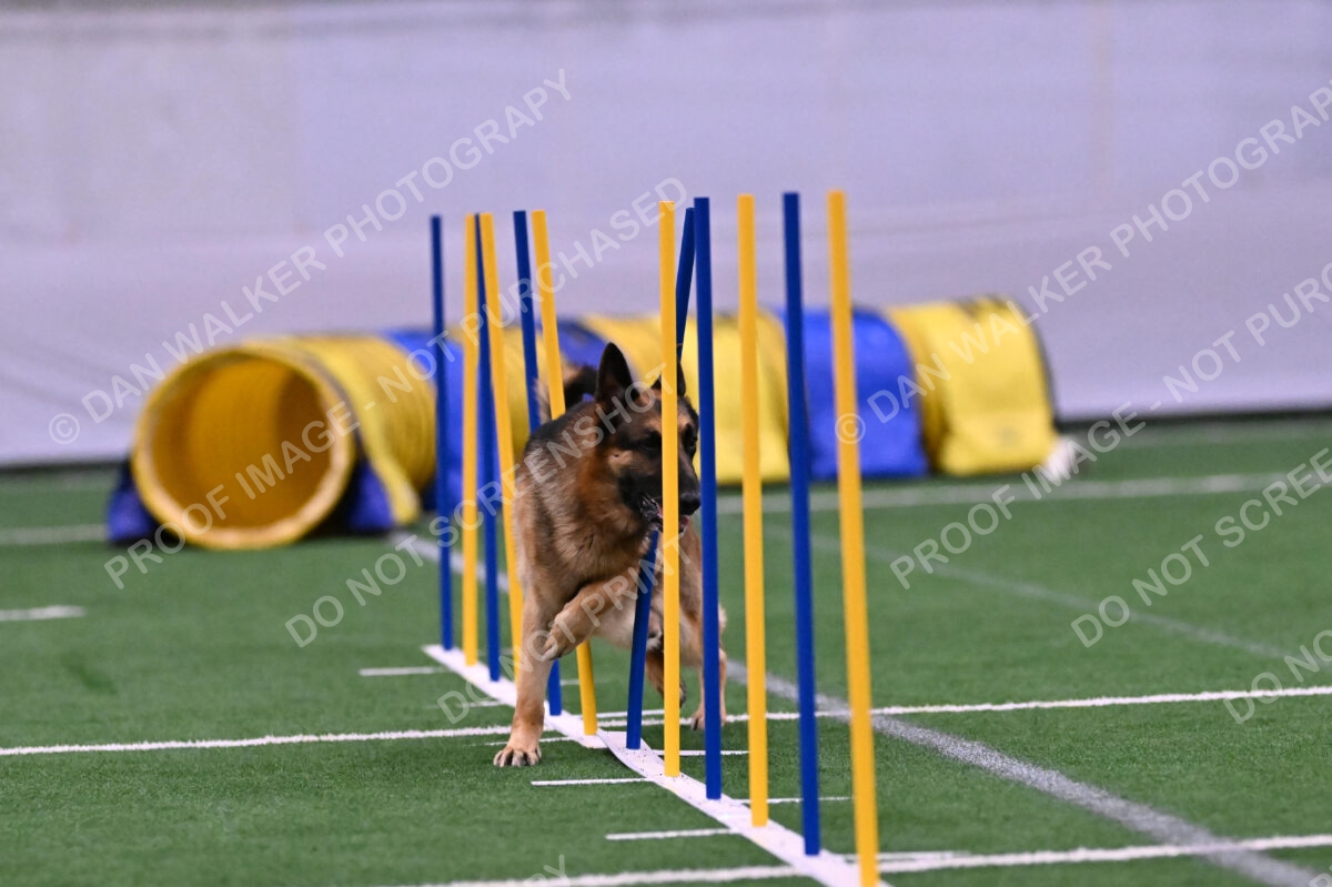 Reece-Kelly-Warner-04568