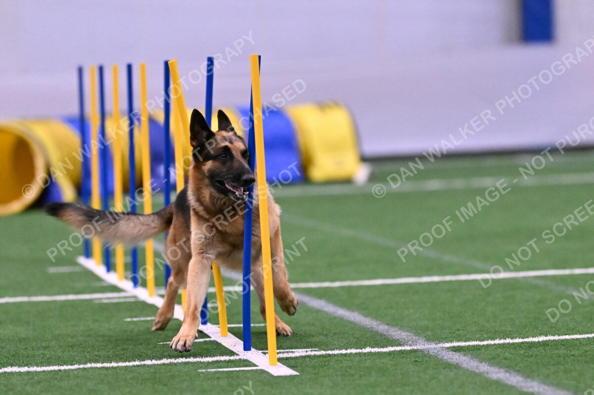 Reece-Kelly-Warner-04585