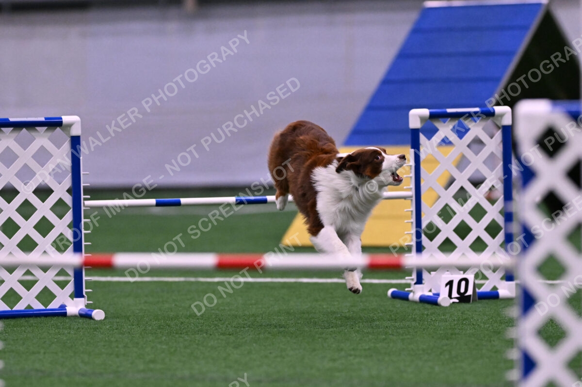 Reece-Kelly-Warner-04598