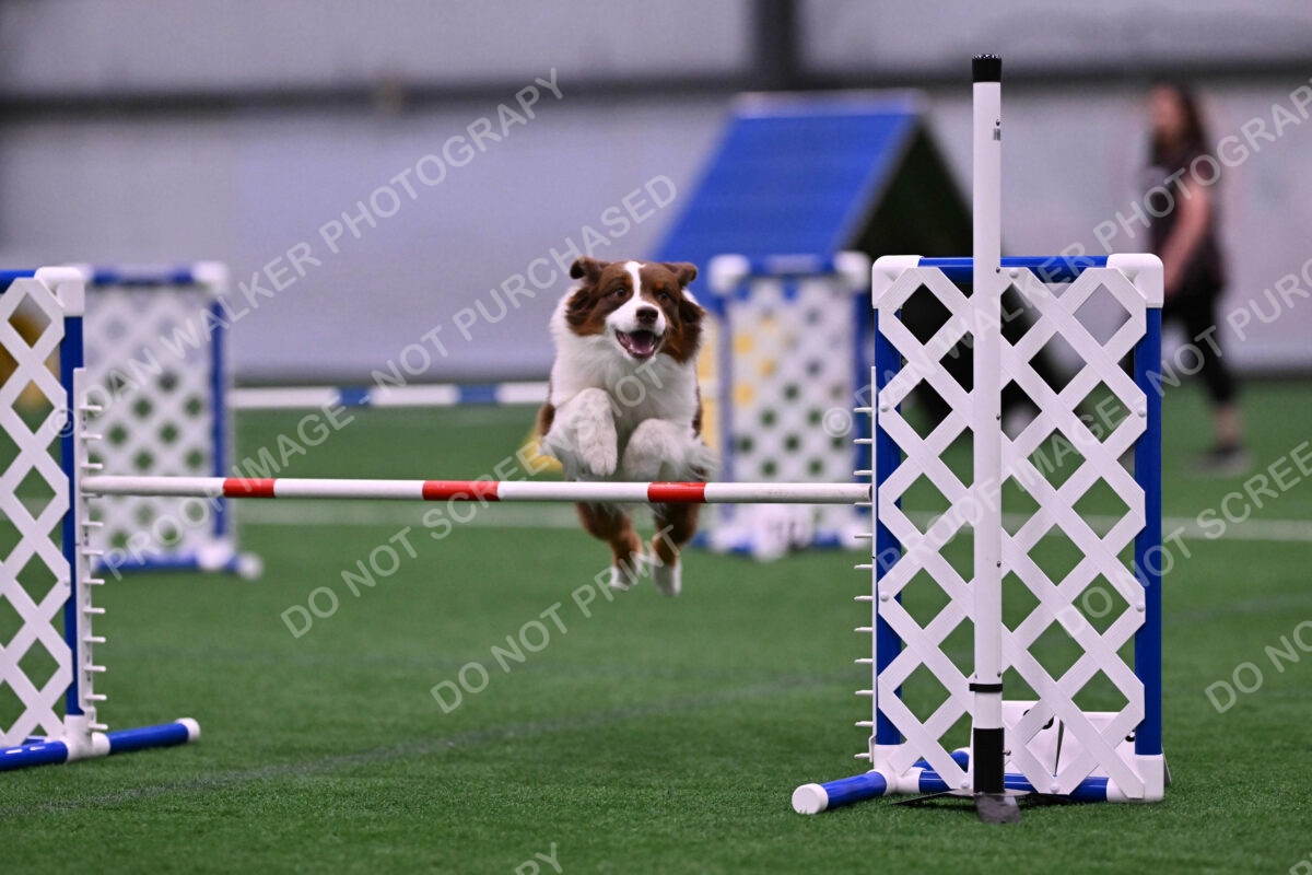 Reece-Kelly-Warner-04602