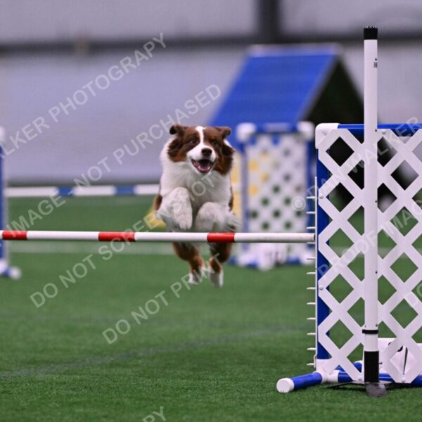 Reece-Kelly-Warner-04602