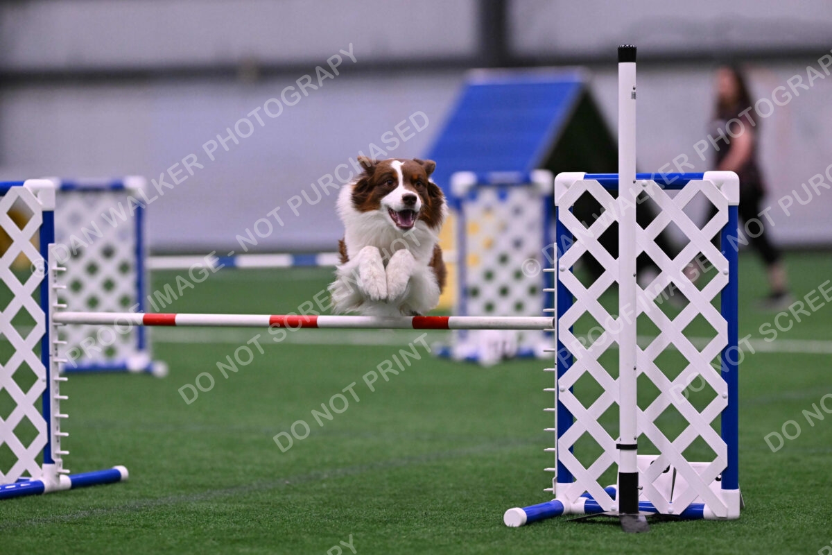 Reece-Kelly-Warner-04603