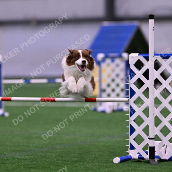 Reece-Kelly-Warner-04603