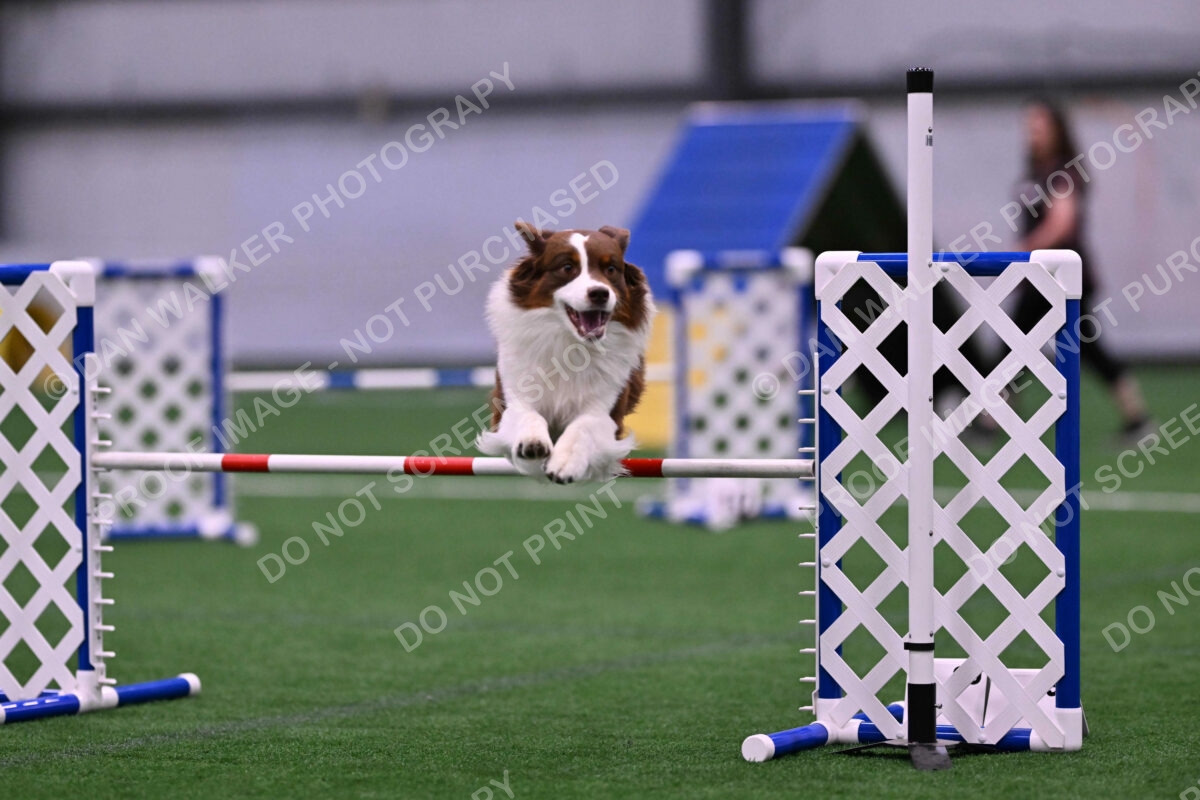 Reece-Kelly-Warner-04604