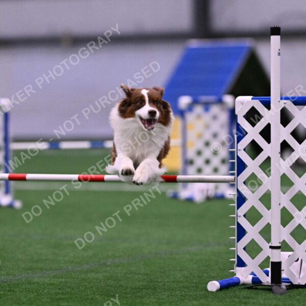 Reece-Kelly-Warner-04604