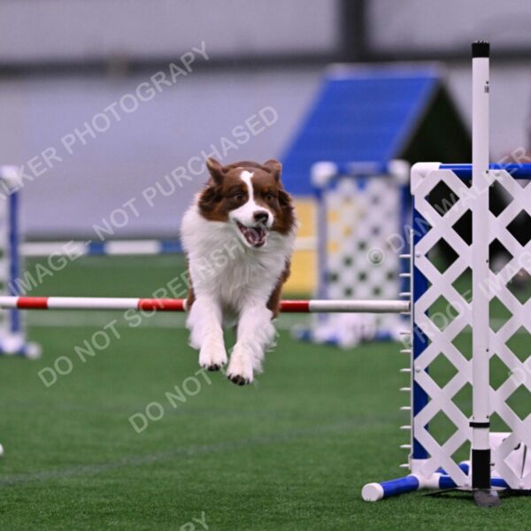 Reece-Kelly-Warner-04605