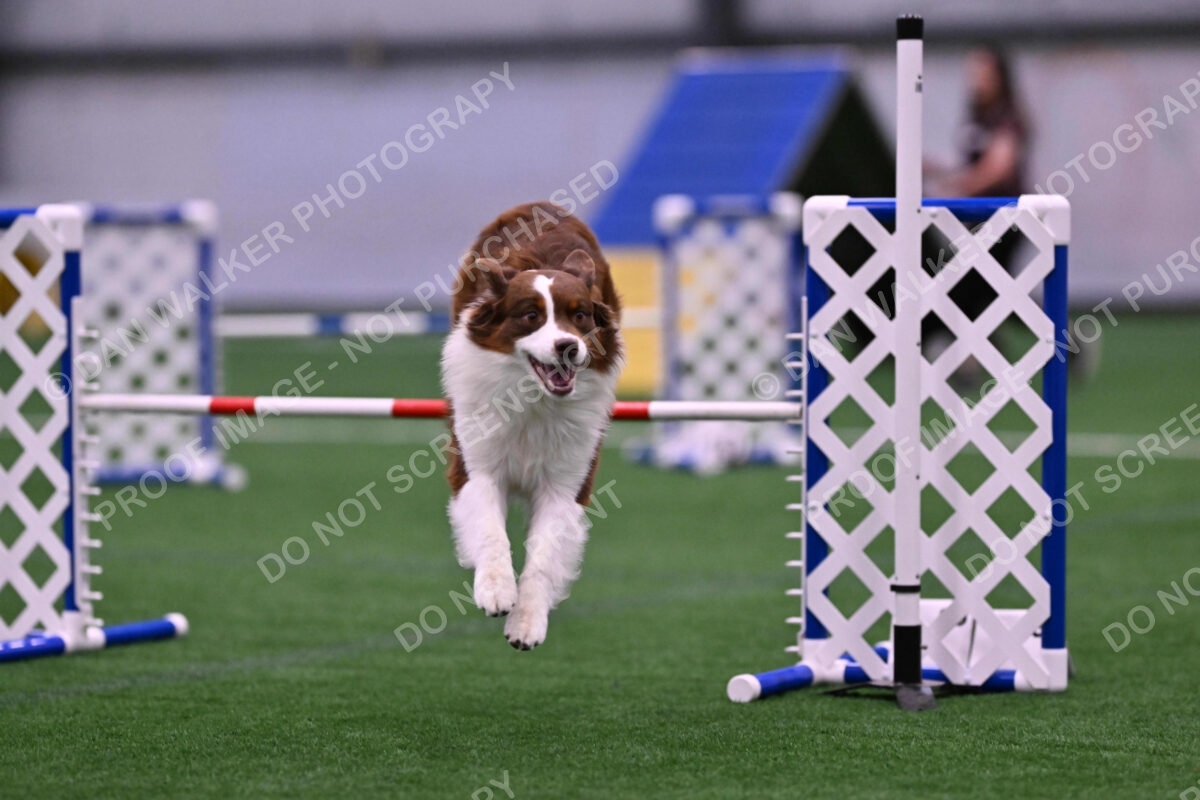 Reece-Kelly-Warner-04606