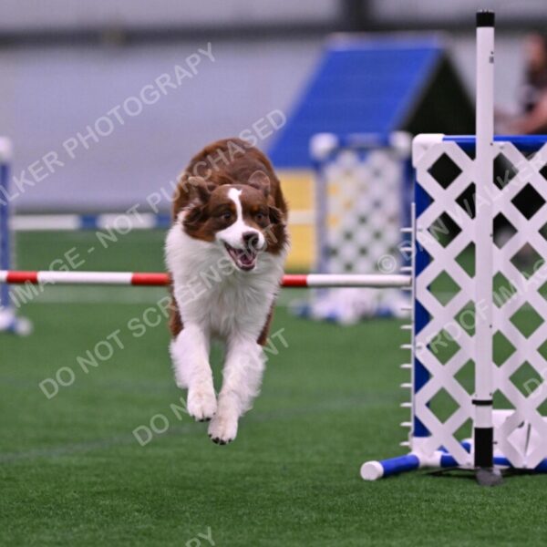 Reece-Kelly-Warner-04606