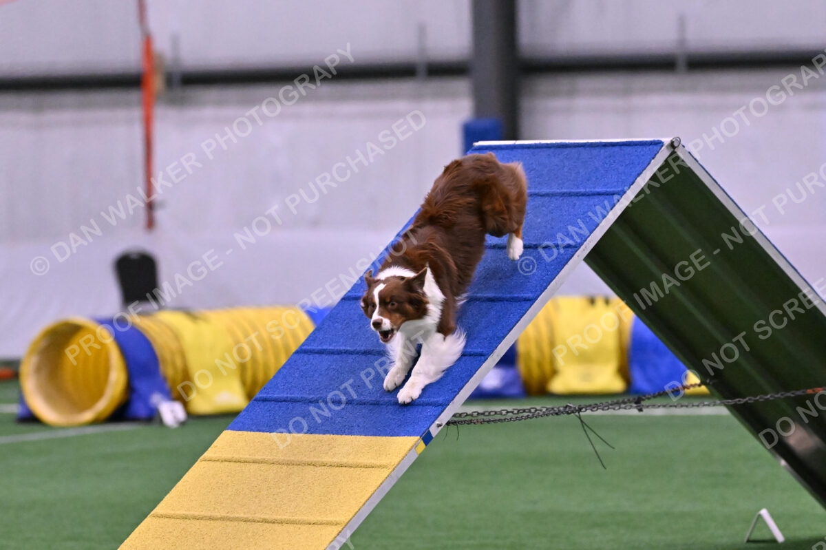Reece-Kelly-Warner-04611