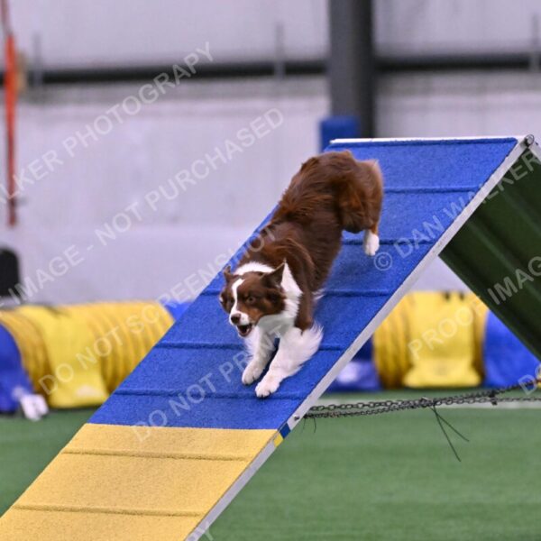 Reece-Kelly-Warner-04611
