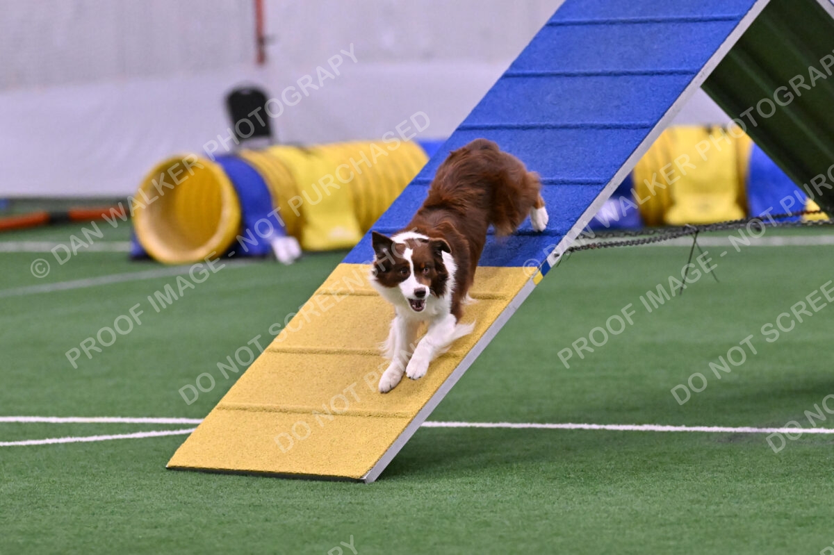 Reece-Kelly-Warner-04614