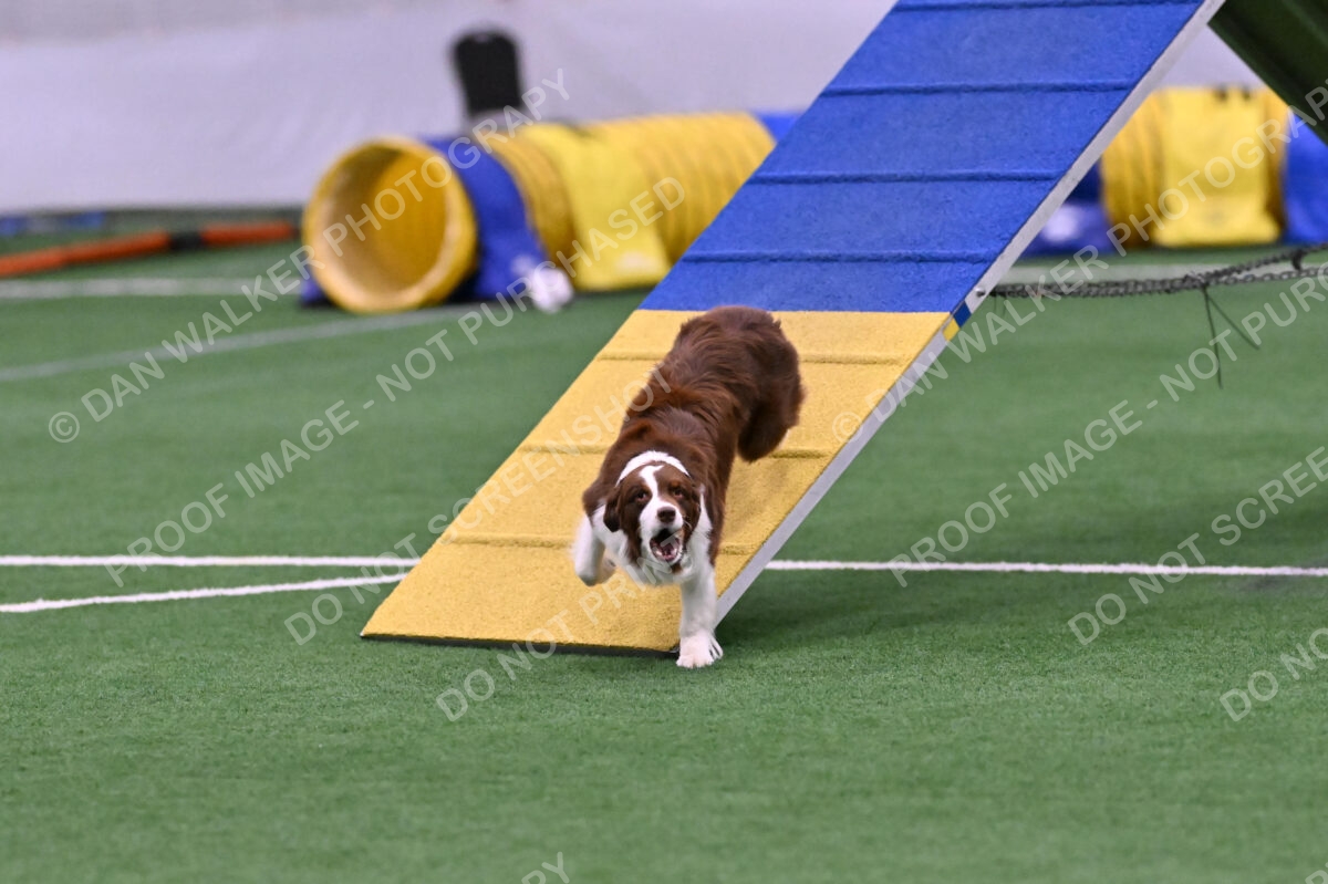 Reece-Kelly-Warner-04617