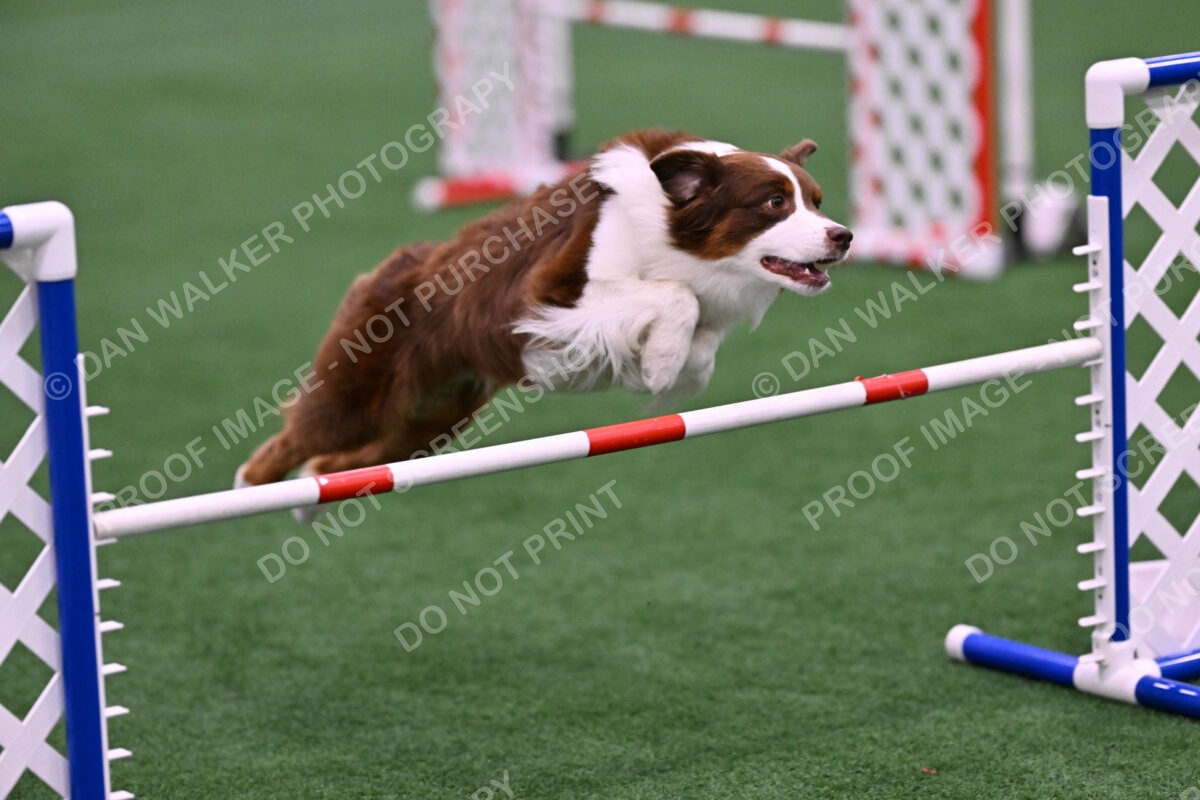 Reece-Kelly-Warner-04630