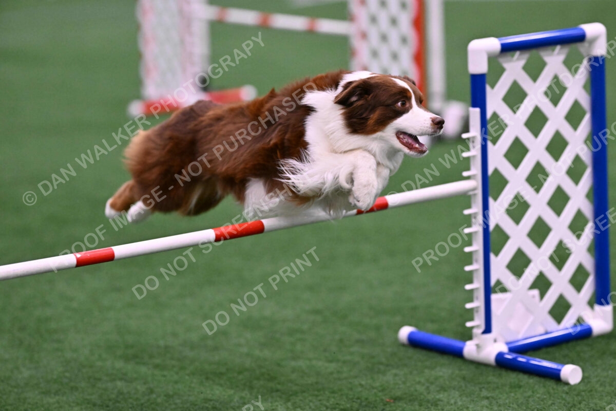 Reece-Kelly-Warner-04631