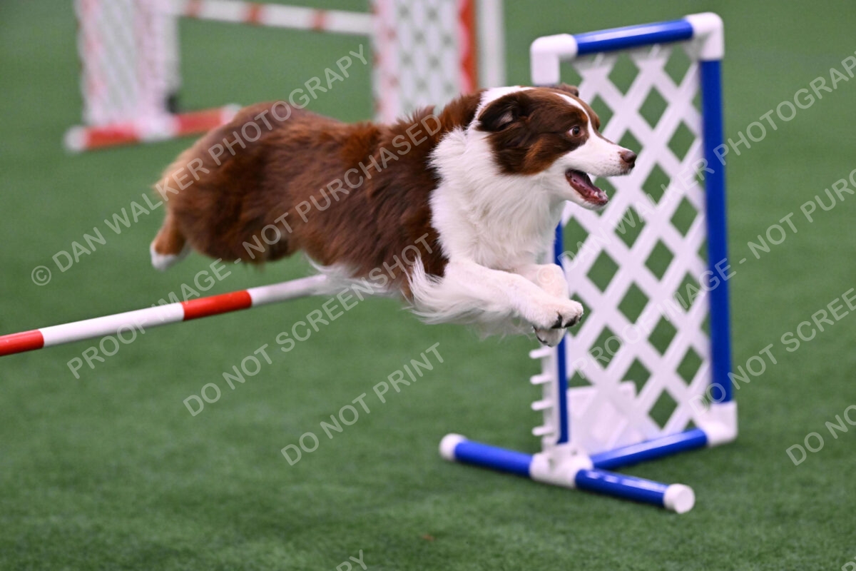Reece-Kelly-Warner-04632