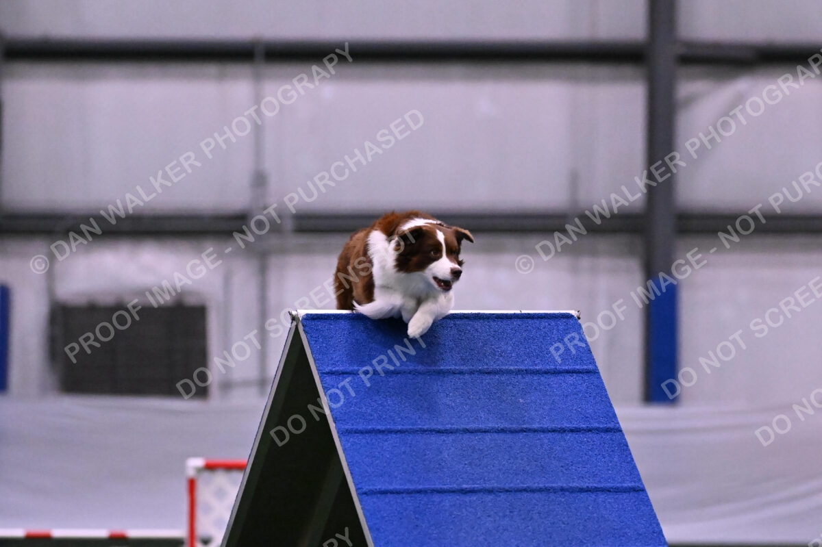 Reece-Kelly-Warner-04664