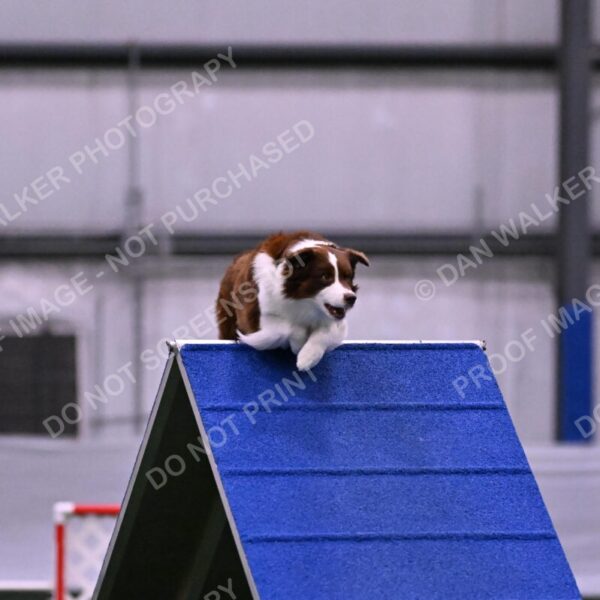 Reece-Kelly-Warner-04664