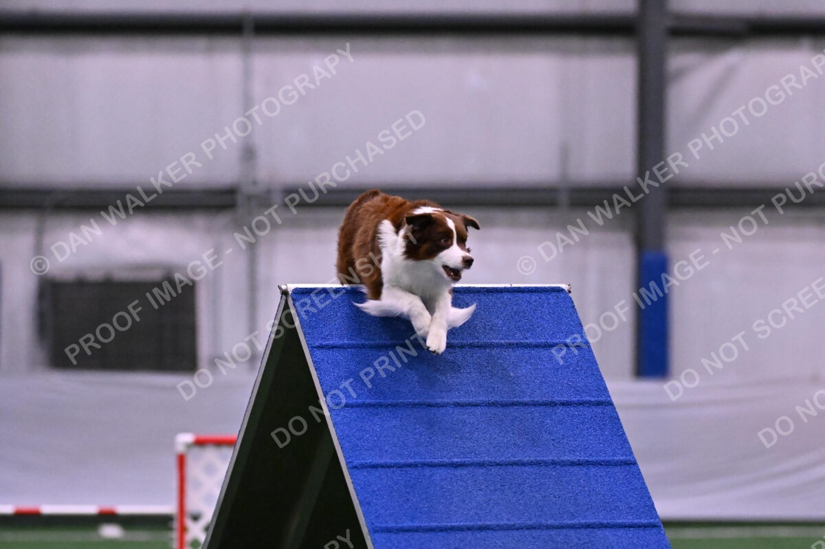 Reece-Kelly-Warner-04665
