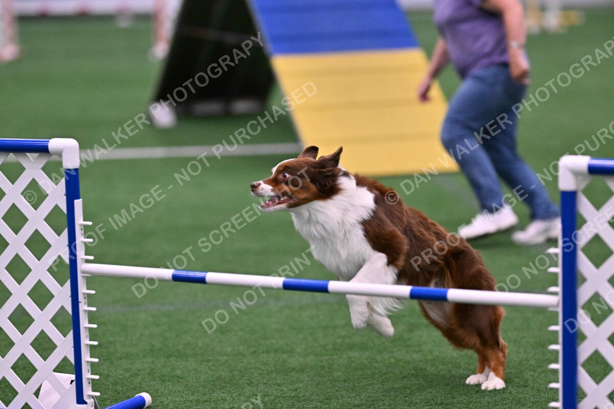 Reece-Kelly-Warner-04674