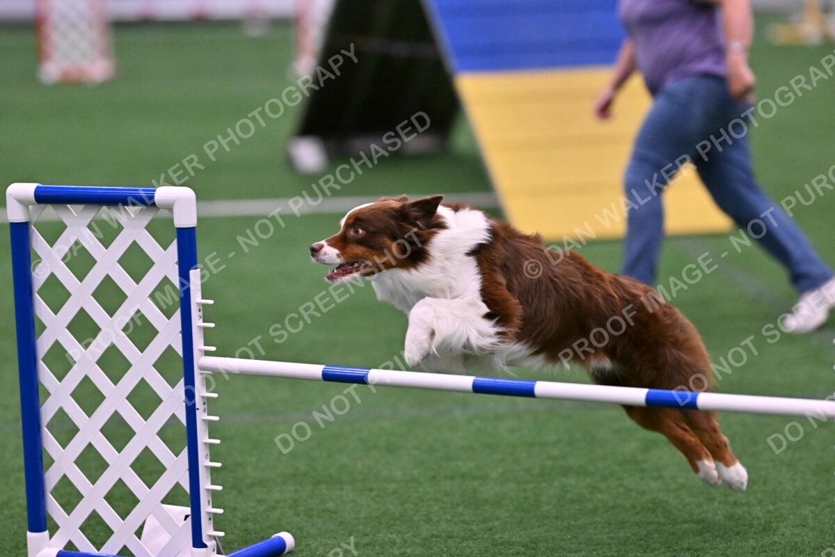 Reece-Kelly-Warner-04675
