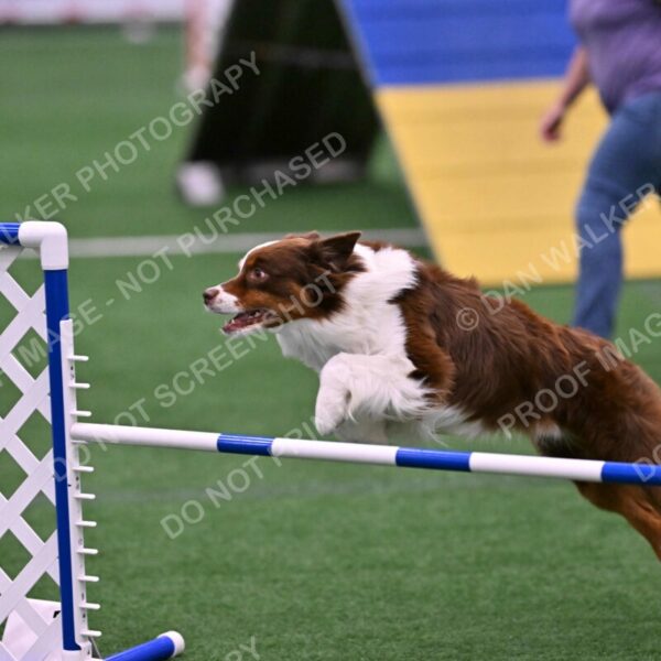 Reece-Kelly-Warner-04675