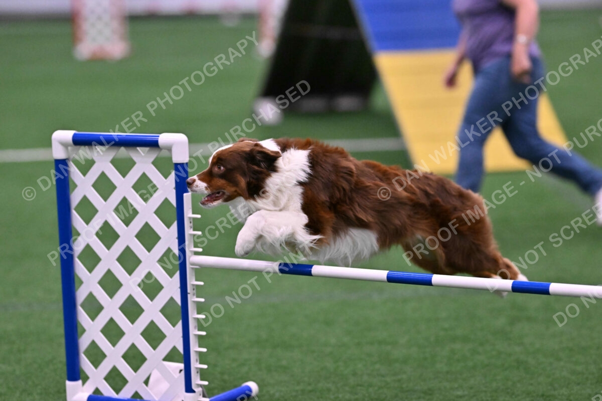 Reece-Kelly-Warner-04676