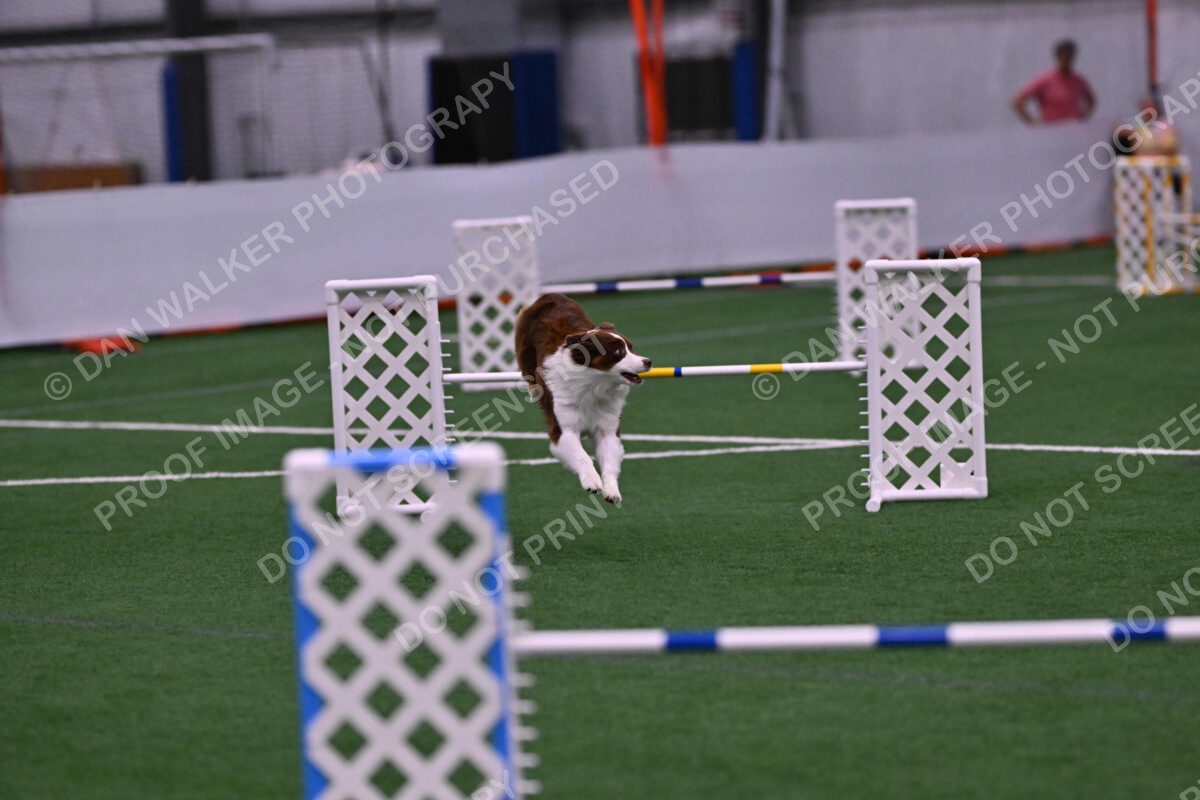 Reece-Kelly-Warner-04681