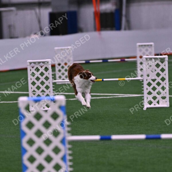 Reece-Kelly-Warner-04681