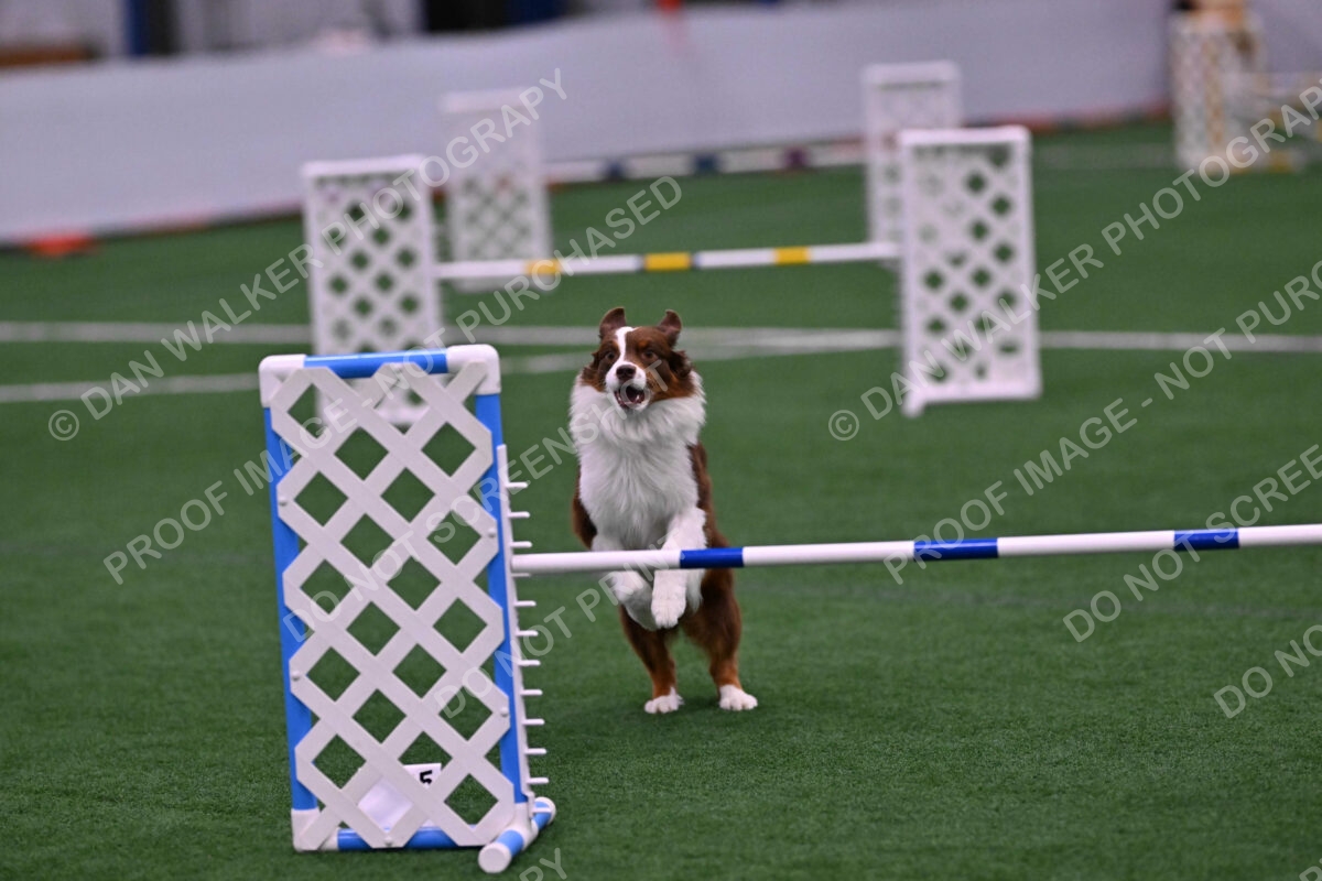 Reece-Kelly-Warner-04688