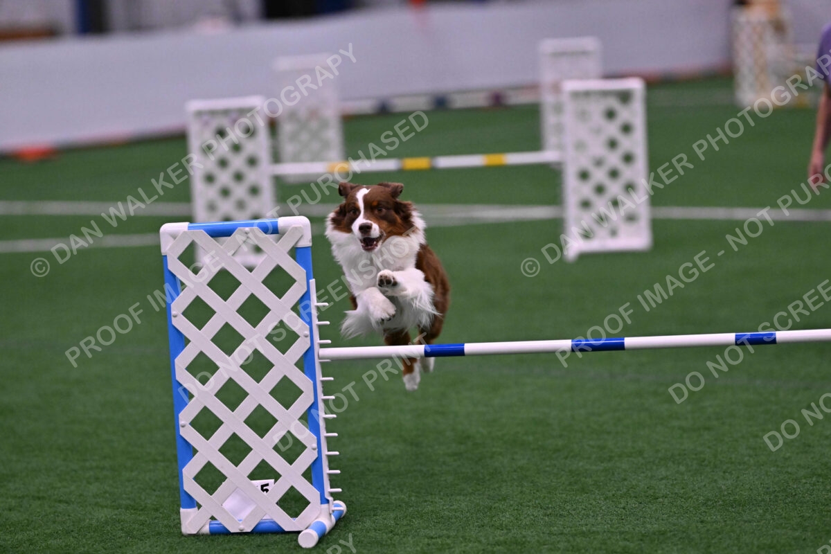 Reece-Kelly-Warner-04690